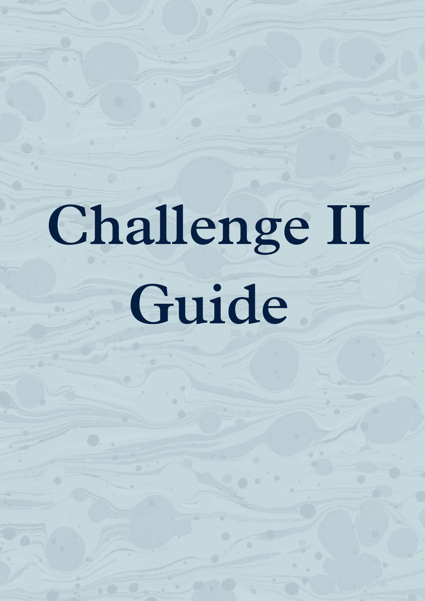 Challenge II Guide 2025